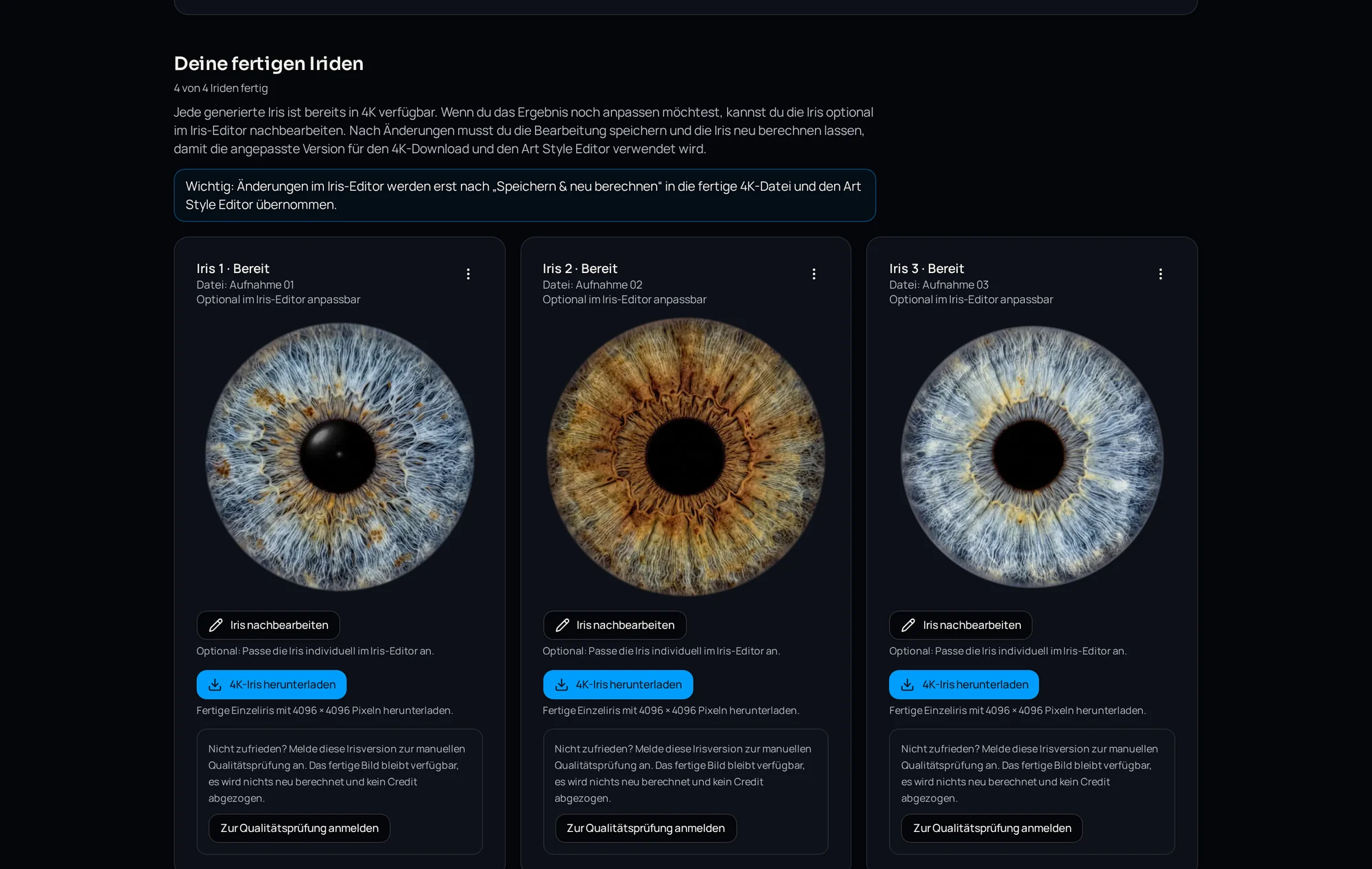 Fertige Iriden eines Projekts mit 4K-Download und Qualitätsprüfung