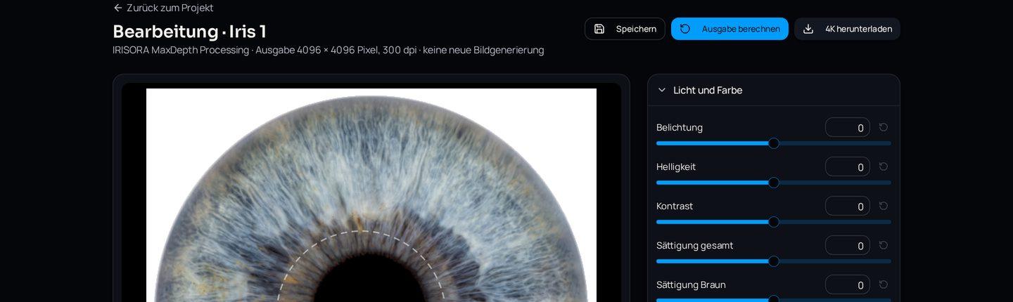 IRISORA Studio: Ausgabe mit 4096 × 4096 Pixeln und 300 dpi herunterladen