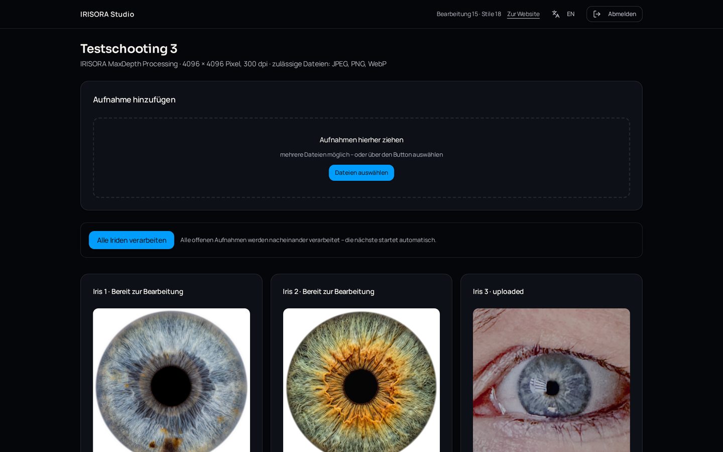 IRISORA Studio: Upload-Bereich eines Projekts mit Stapelverarbeitung