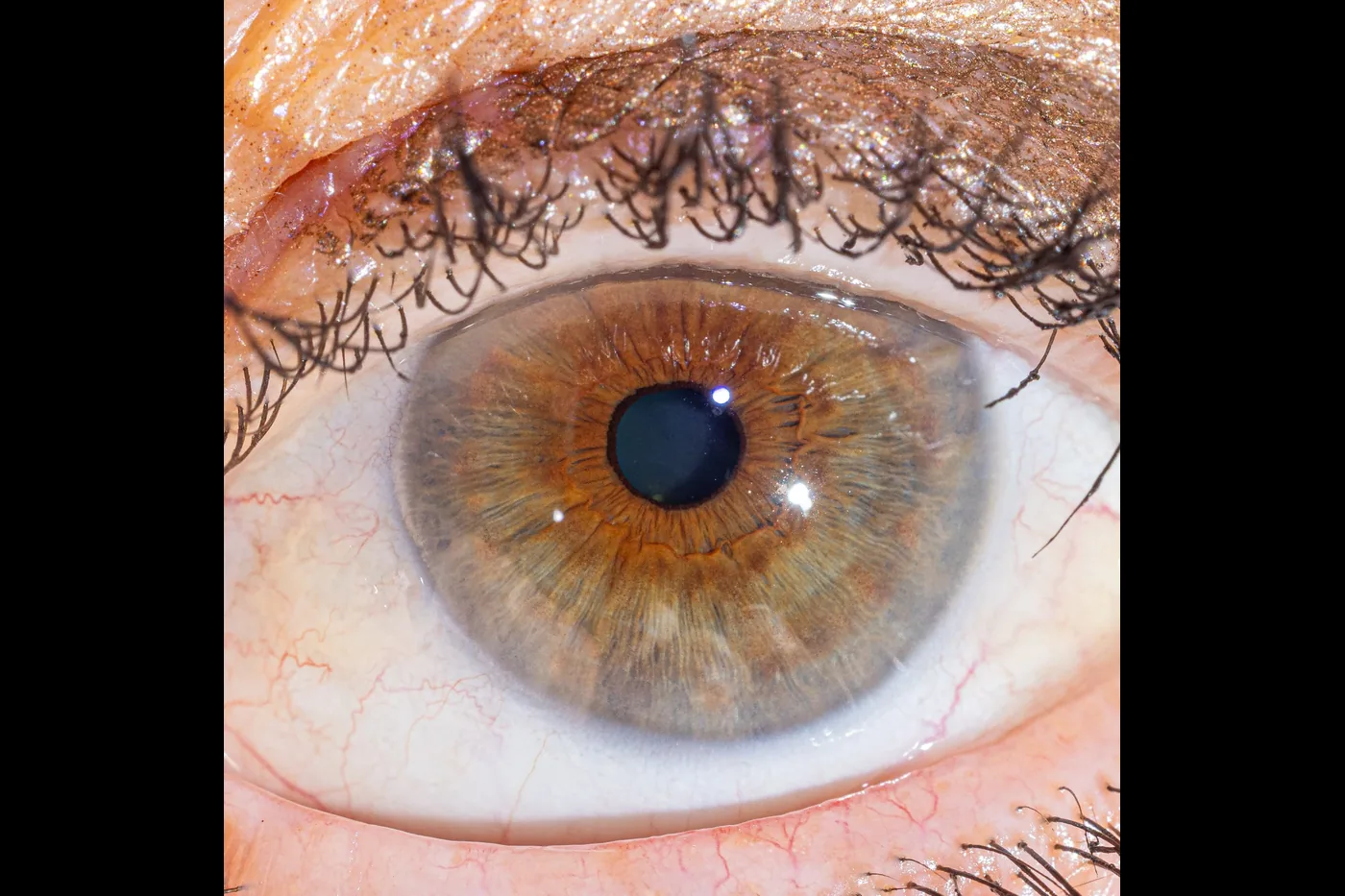 Difficult iris photograph with lashes, glitter make-up and strong reflections
